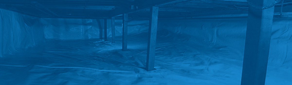 Crawl Space Problems